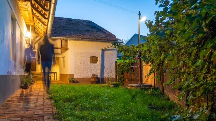 Cejkovicky Domek Cejkovice  Ngoại thất bức ảnh